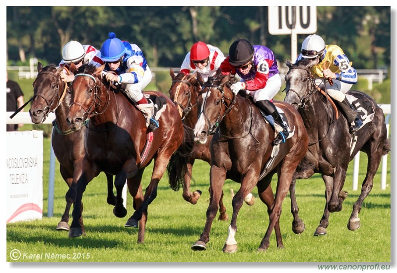 Bratislava - 30. augusta 2015 