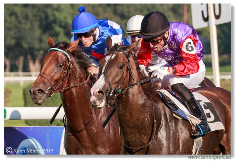 Bratislava - 30. augusta 2015 