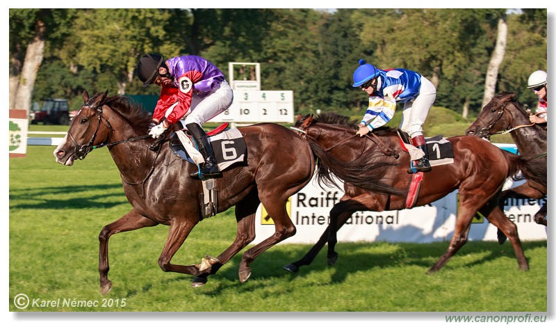 Bratislava - 30. augusta 2015 