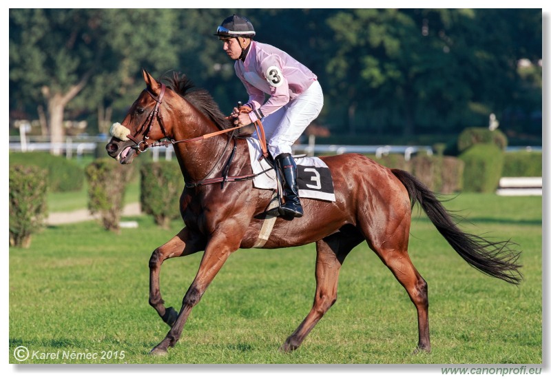 Bratislava - 30. augusta 2015 