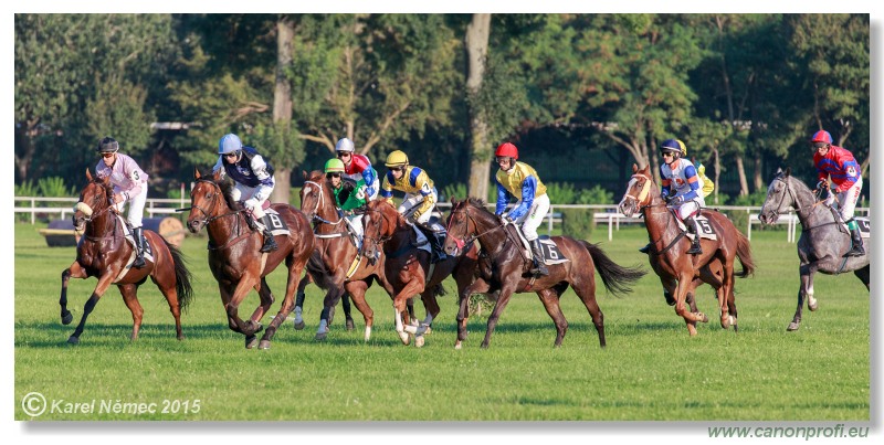 Bratislava - 30. augusta 2015 