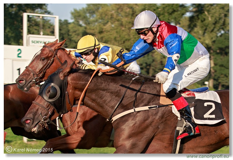 Bratislava - 30. augusta 2015 