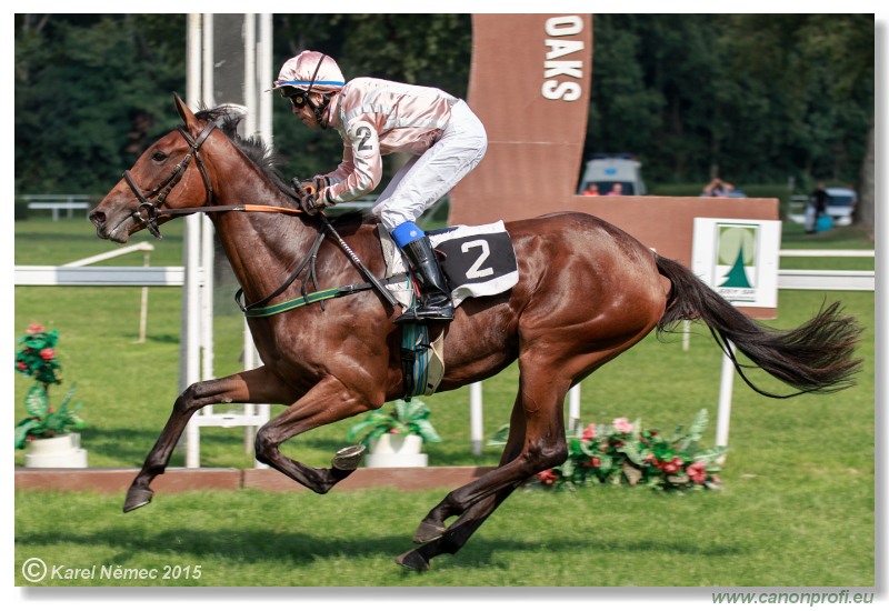 Bratislava - 13. septembra 2015 