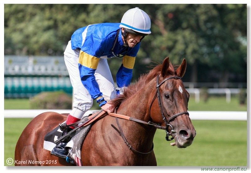 Bratislava - 13. septembra 2015 