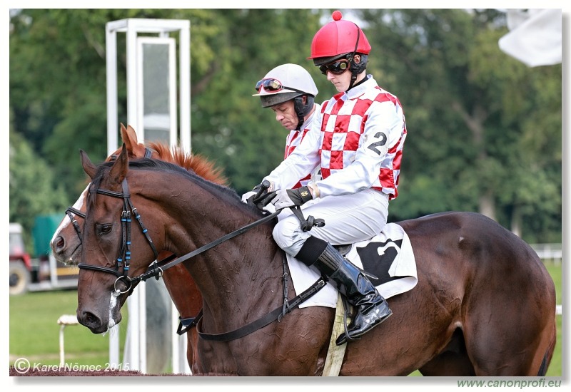 Bratislava - 13. septembra 2015 
