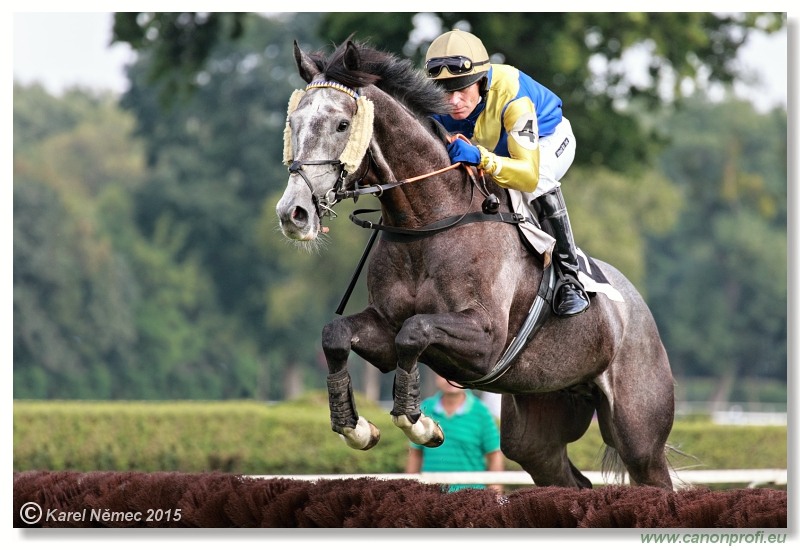 Bratislava - 13. septembra 2015 