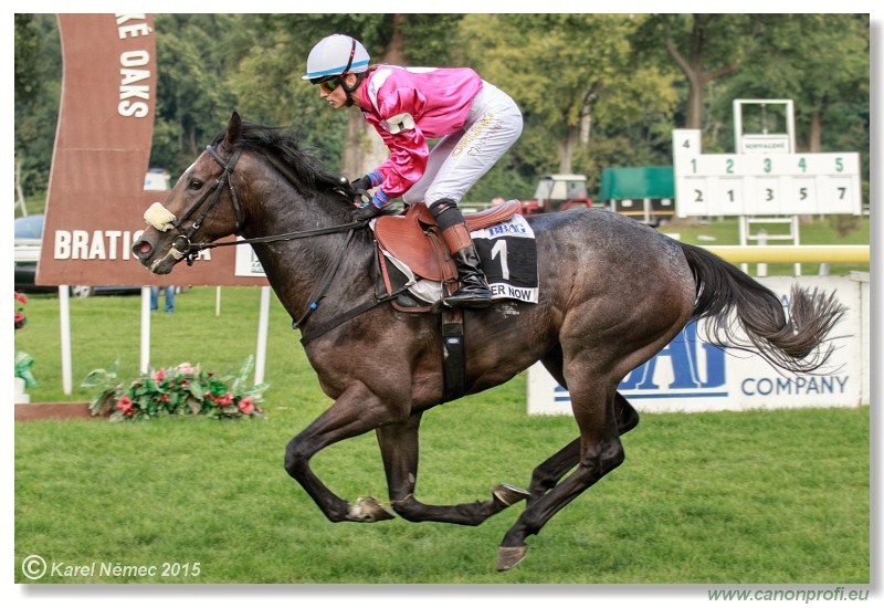 Bratislava - 13. septembra 2015 