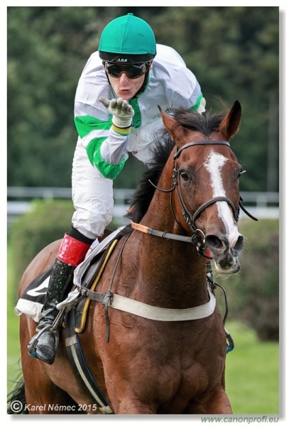 Bratislava - 13. septembra 2015 