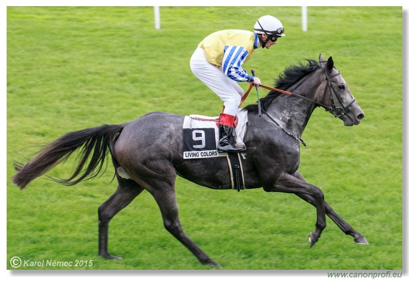 Bratislava - 13. septembra 2015 