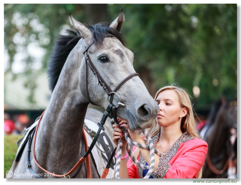Bratislava - 13. septembra 2015 