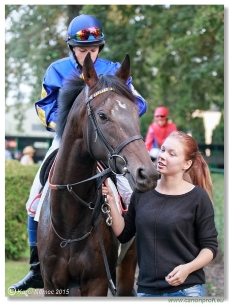 Bratislava - 13. septembra 2015 