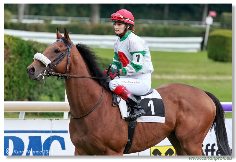 Bratislava - 27. septembra 2015 