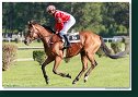Veľká starohájska steeplechase HAMÉ