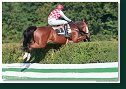 Veľká starohájska steeplechase HAMÉ