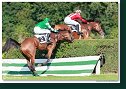 Veľká starohájska steeplechase HAMÉ