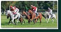 Veľká starohájska steeplechase HAMÉ