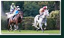 Veľká starohájska steeplechase HAMÉ