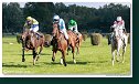 Veľká starohájska steeplechase HAMÉ