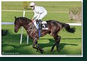 23. Slovenský St. Leger CHARVÁT