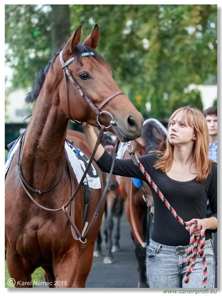 Bratislava - 04. októbra 2015 