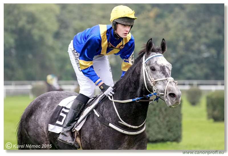Bratislava - 18. októbra 2015 
