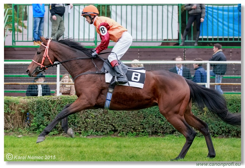 Bratislava - 18. októbra 2015 
