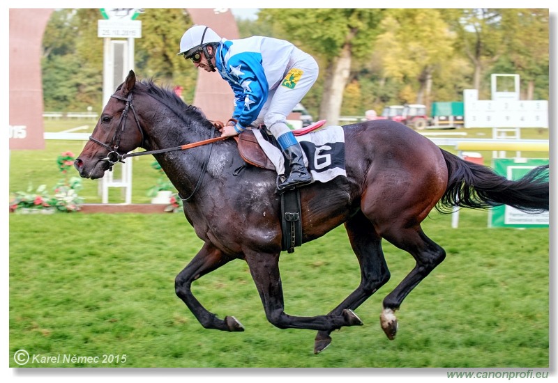 Bratislava - 25. októbra 2015 