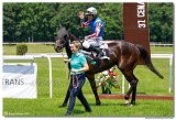 1. dostihy  - Memoril Ing. Pavla ikavskho 