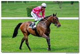 3. dostihy  -  Cena Scottish Rifla spolonosti LOKO TRANS s.r.o. 