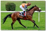 3. dostihy  -  Cena Scottish Rifla spolonosti LOKO TRANS s.r.o. 