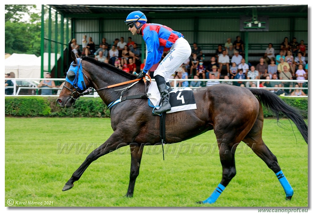 Bratislava  -  18. 7. 2021 