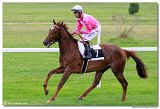 1. dostihy - Cena Muscatita 