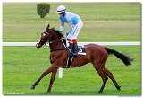 1. dostihy - Cena Muscatita 