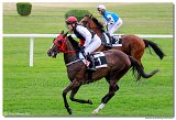 1. dostihy - Cena Muscatita 