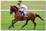 1. dostihy - Cena Muscatita 