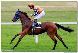 1. dostihy - Cena Muscatita 
