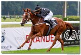1. dostihy - Cena Muscatita 