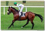 2. dostihy - Cena Mysa 