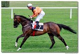 2. dostihy - Cena Mysa 