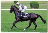 2. dostihy - Cena Mysa 