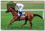 2. dostihy - Cena Mysa 