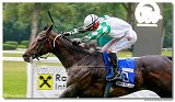 6. dostihy - Slovensk derby Raiffeisen Bank Int. 