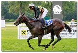 6. dostihy - Slovensk derby Raiffeisen Bank Int. 