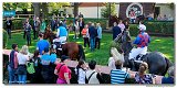 6. dostihy - 29. Cena zimnej krovnej 