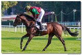 7. dostihy - Vek starohjska steeplechase spolonosti BRUDA 
