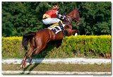 7. dostihy - Vek starohjska steeplechase spolonosti BRUDA 
