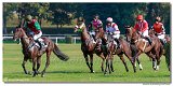 7. dostihy - Vek starohjska steeplechase spolonosti BRUDA 