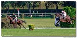 7. dostihy - Vek starohjska steeplechase spolonosti BRUDA 