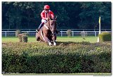 7. dostihy - Vek starohjska steeplechase spolonosti BRUDA 