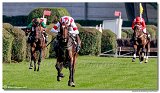 7. dostihy - Vek starohjska steeplechase spolonosti BRUDA 